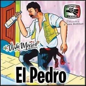 Meet your Posher, Pedro